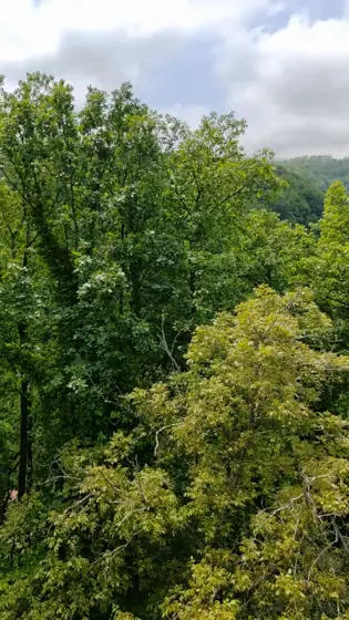 Letnji pogled na zelene krošnje sa terase Vista apartmana